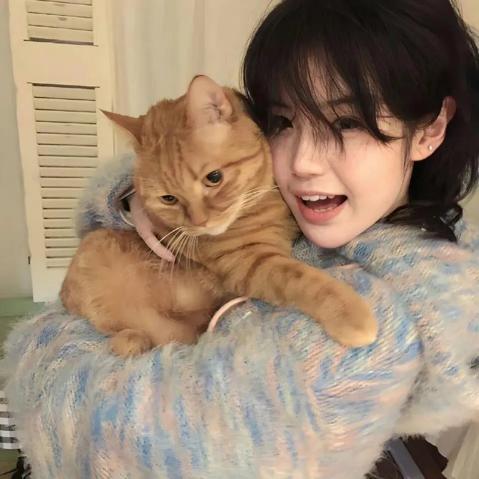 抽象画中的越南少女
